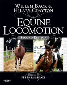 Equine locomotion